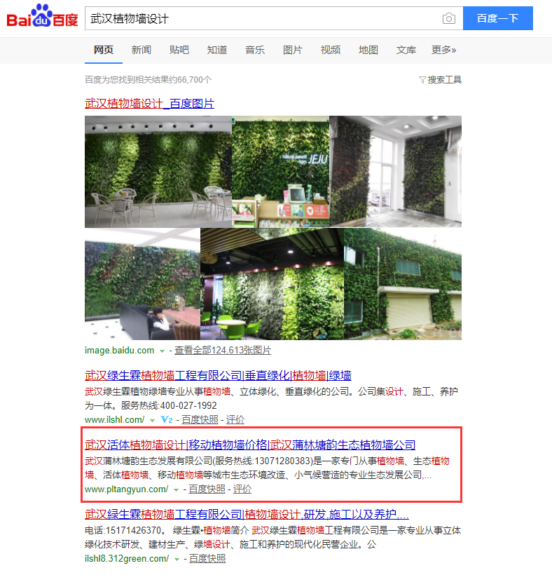 武漢植物墻設(shè)計(jì)