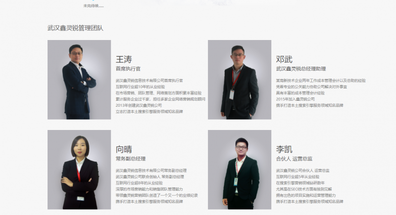 網(wǎng)站推廣優(yōu)化團隊